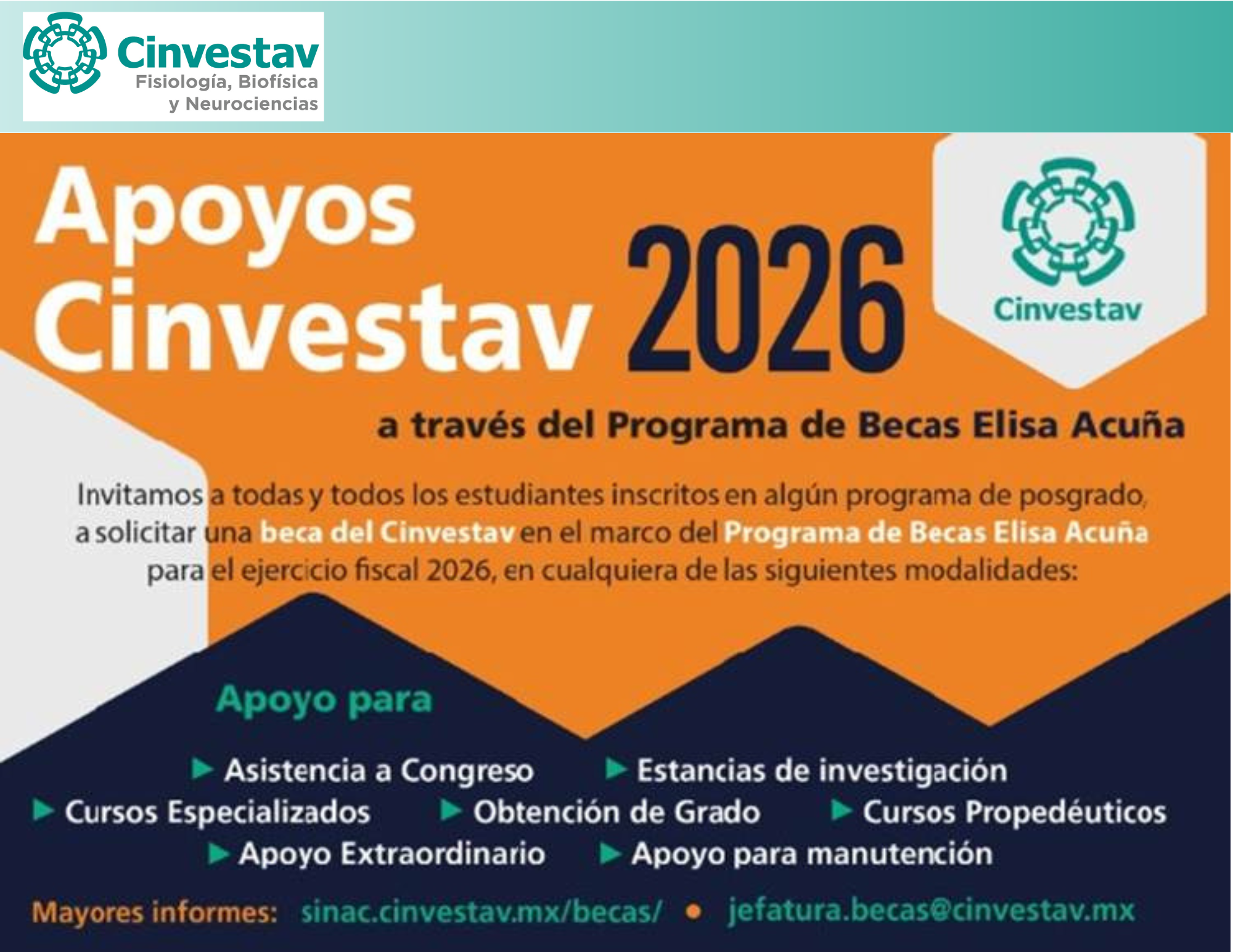 Becas Elisa Acuña 2026
