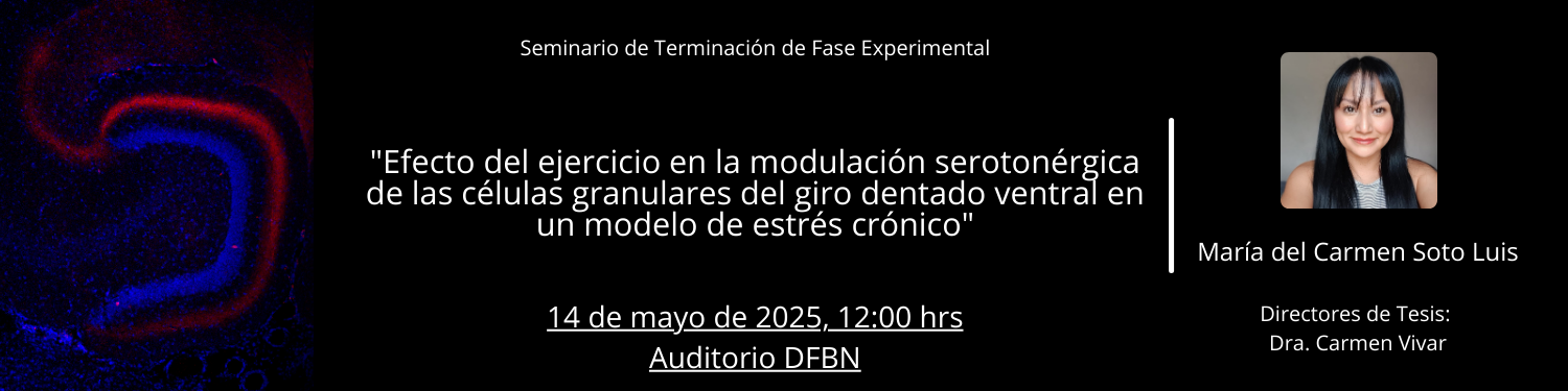 Seminario TFE Carmen Soto Luis