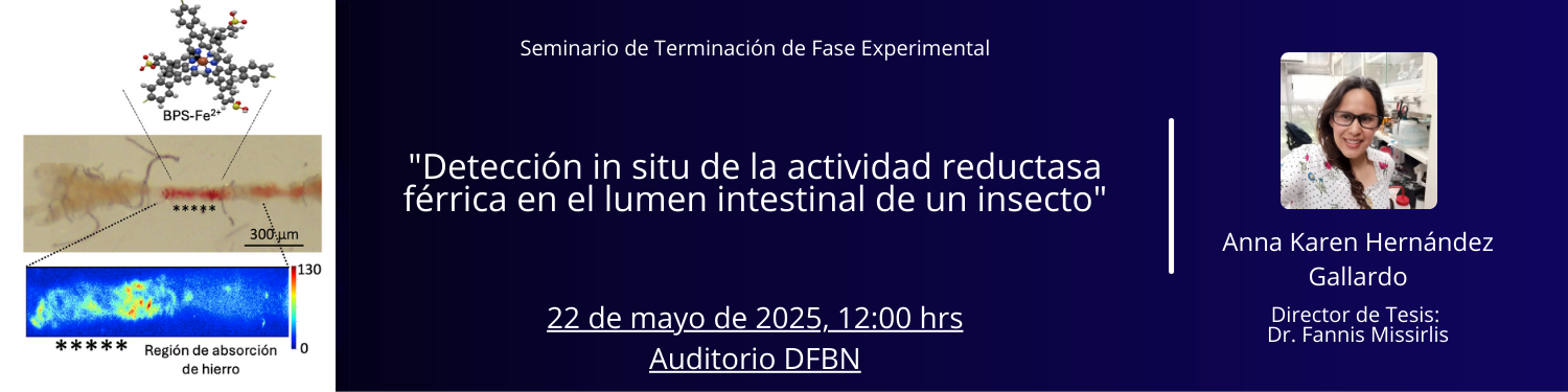 Seminario TFE Anna Karen Hernandez