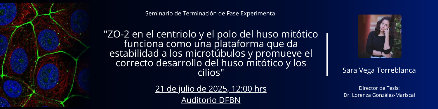 Seminario TFE Sara Vega Torreblanca