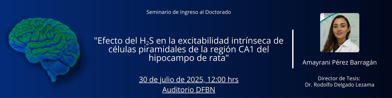 Seminario ID Amayrani Perez Barragan
