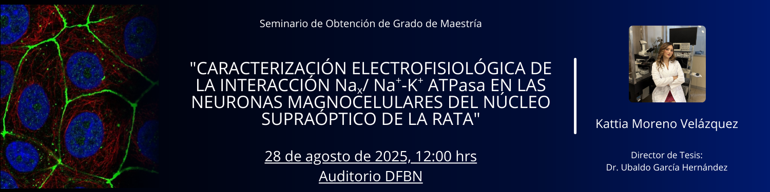 Seminario M Kattia Moreno