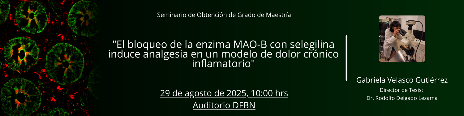 Seminario M Guadalupe Velasco Gutierrez