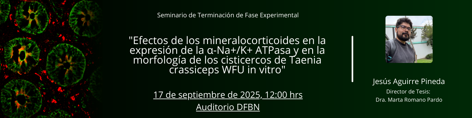 Seminario TFE Jesus Aguirre