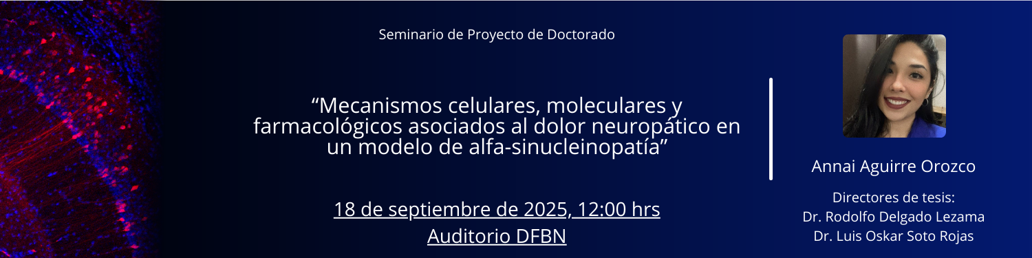 Seminario PD Annai Aguirre Orozco