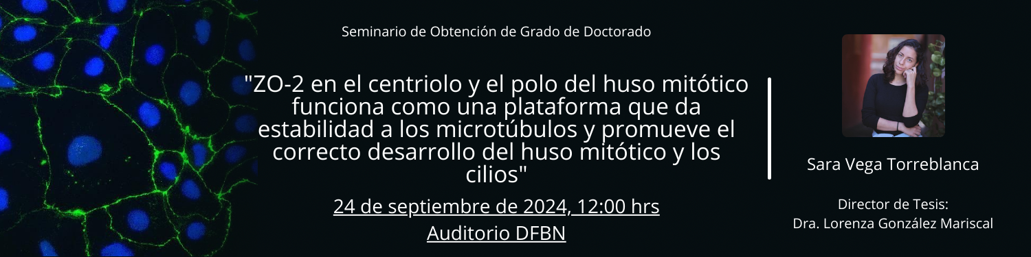 Seminario D Sara Vega Torreblanca