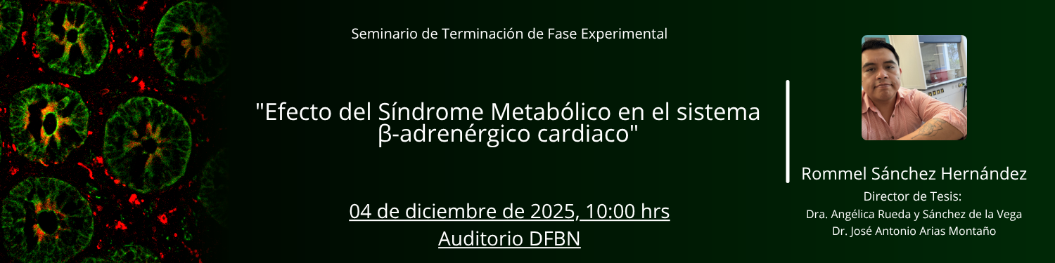 Seminario TFE Rommel Sanchez Hernandez