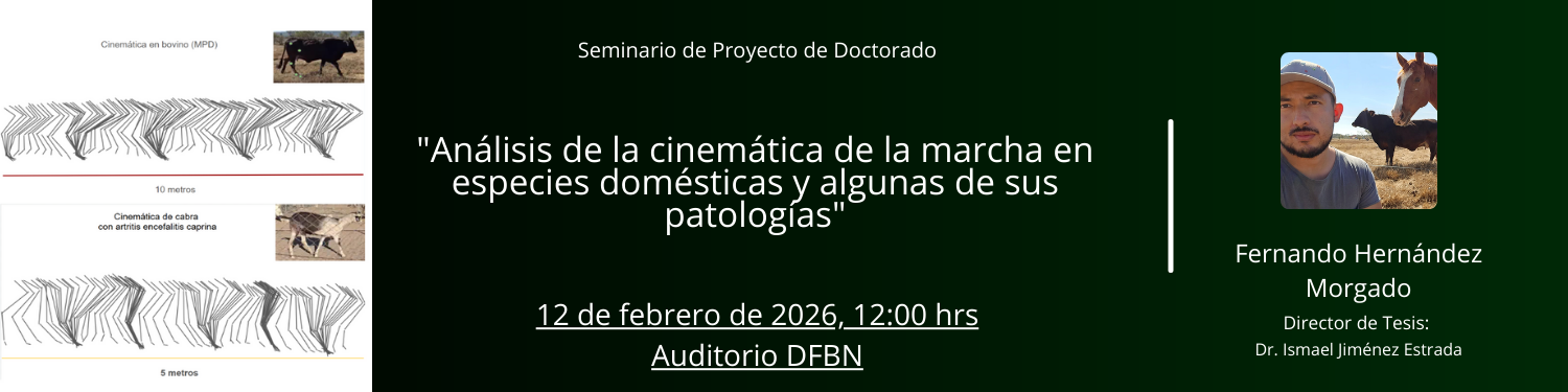 Seminario PD Fernando Hernandez