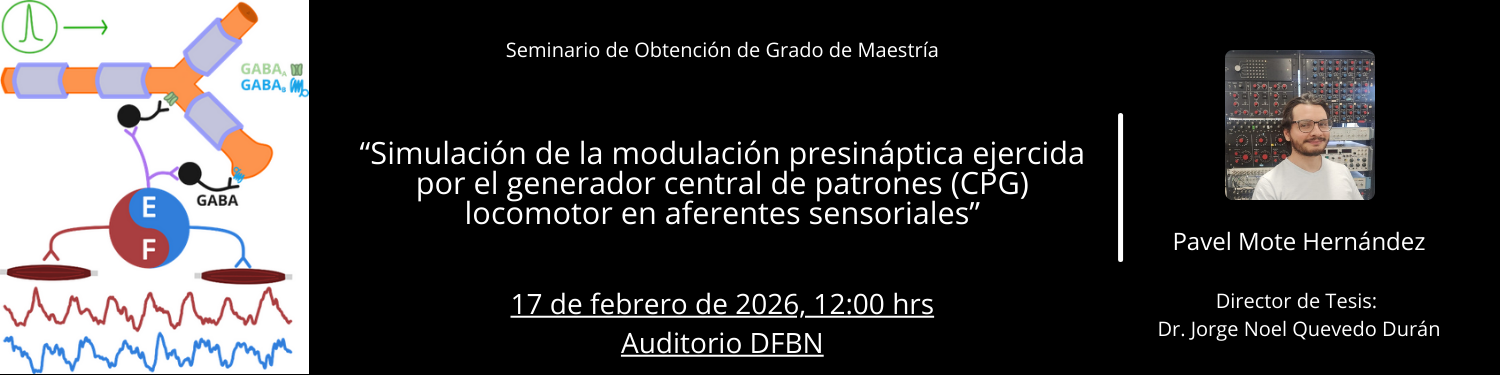 Seminario M Pavel Mote