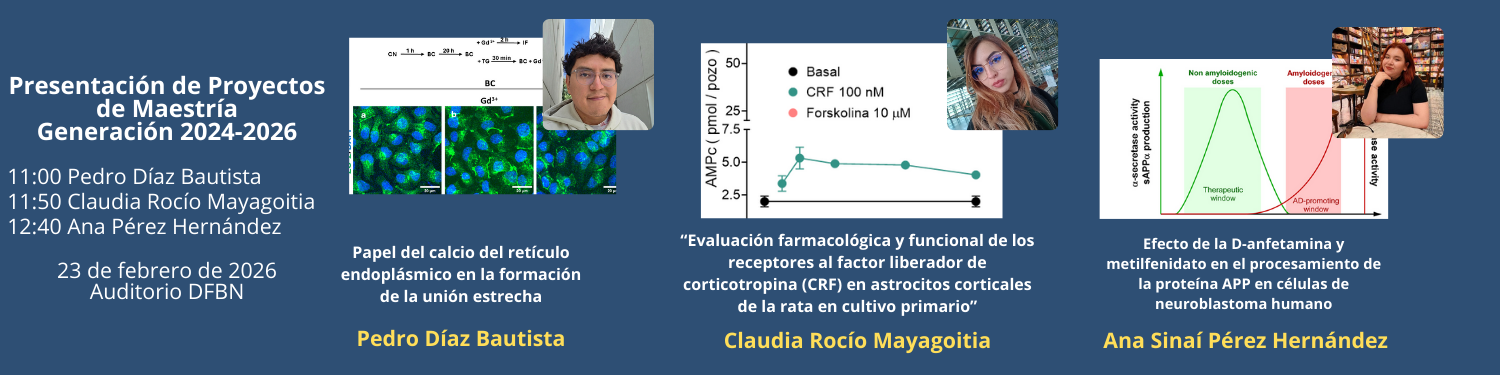 Seminarios 23 PM Gen 2024-2026