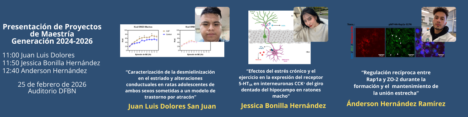 Seminarios 25 PM Gen 2024-2026