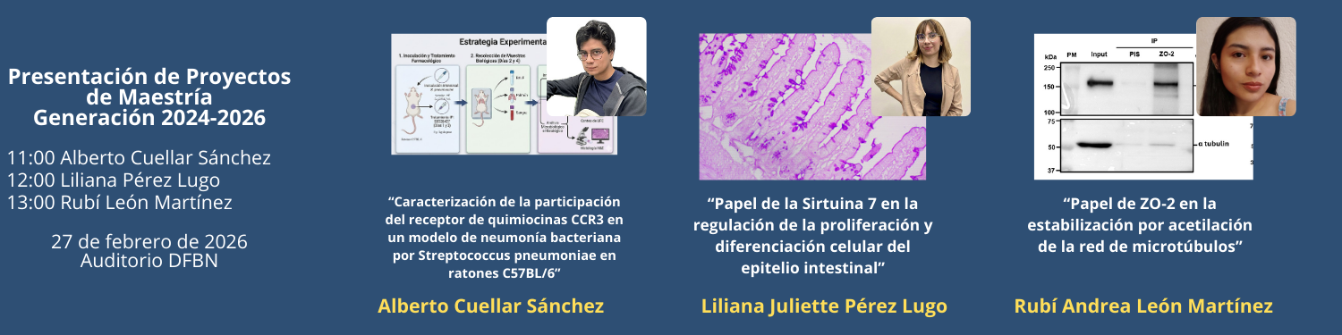 Seminarios 27 PM Gen 2024-2026