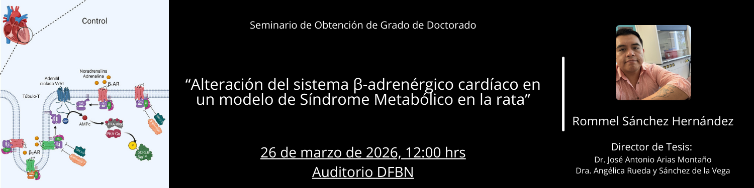 Seminario Doctorado Rommel Sanchez Hernandez