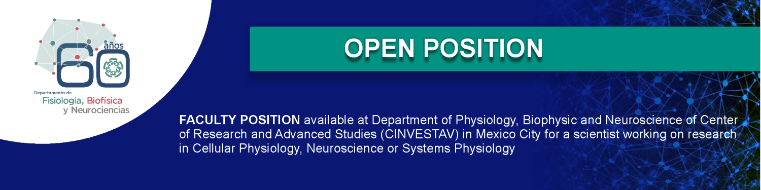 Professor Position